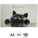 Альбом А4 24л " Феникс " Британский кот, на скобе, обложка- мелованный картон, сплошной глянцевый УФ-лак, блок- офсет 100г/м2