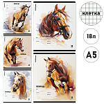 Тетрадь А5 18л клетка " Erich Krause " Wild Mane, Mix-pack, офсет, на скобе, обложка - мелованный картон, скругленные углы, 5 дизайнов в спайке