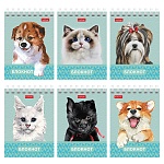 Блокнот МАЛЫЙ ФОРМАТ А7 спираль сверху 40л " Hatber " Глазки, ушки, носик (ассорти), клетка, обложка - мелованный картон, 6 дизайнов