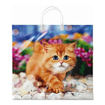 Пакет ПЭ " Интерпак " с пластиковой ручкой ПВД, 38*35см 90мкм Пушок