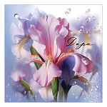 Бирка для букетов и подарков " Праздник " 060 Дарю Розовый ирис, 70*70мм, глянцевый УФ-лак