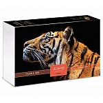Пазлы " Hatber " 500элементов Premium Legend ZooStyle Взгляд тигра 48*33см, постер, подарочная картонная упаковка