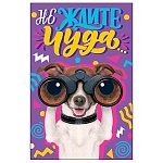 Открытка " Мир открыток " 2-05 Юмор- Не ждите чуда..., Собака, 251*194мм, сложно-техническая, текст