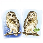 Плакат " Империя поздравлений " 930 А4 Филин, без отделки