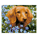 Картина алмазная " Lori " 40*50см Такса, полное заполнение, основа с цветной схемой, комплект квадратных страз, стилус, лоток для страз, сухой клей, холст без подрамника с клеевой основой