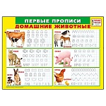 Плакат " Мир поздравлений " 450 А4 Первые прописи. Домашние животные, пиши- стирай