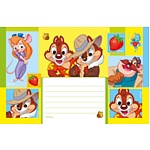 Наклейка на тетрадь " Империя поздравлений " А6 Чип и Дейл лицензия