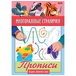 Раскраска " Hatber " А5 4л Играем, думаем, рисуем. Пишем элементы букв, на скобе, глянцевая ламинация, цветной блок, многоразовые странички (можно удалить написанное, если протереть страницу влажной тряпочкой)