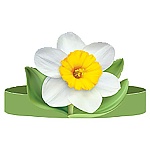 Головной убор " Империя поздравлений " 450 Нарцисс, без отделки