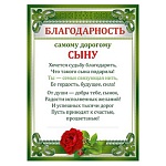 Благодарность самому дорогому сыну А4 410 " Мир поздравлений " без отделки, текст