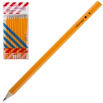 Набор карандашей ч/гр " ВКФ " Проект 12шт: 6М (6B), 5М (5B), 4М (4B), 3М (3B), 2М (2B), М (B), ТМ (HB), ТМ (HB), Т (H), Т (H), 2Т (2H), 2Т (2H), шестигранные, деревянные, заточенные, пакет