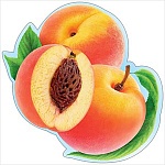 Украшение на скотче " Праздник " 150 Персик, 146*146мм, вспененный скотч, глянцевый ВД-лак