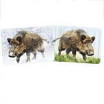 Плакат " Империя поздравлений " 930 А4 Кабан, без отделки