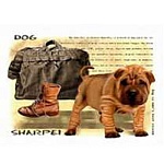 Постер магнитный 240*300мм " Счастливый друг " Винил, европодвес