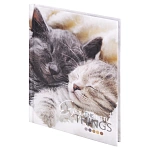 Блокнот МАЛЫЙ ФОРМАТ 110х147мм, А6, 80л, твёрдый, клетка, Котики