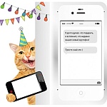 Открытка " Миленд " 9-32 Юмор- Я долго думал что подарить- Рыжий кот, без отделки