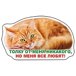 Магнит виниловый " Хорошо " 612 Толку от меня никакого, 91*53мм