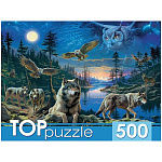 Пазлы " TOPpuzzle " 500элементов Ночные совы и волки 48,5*34,5см, картонная упаковка 19,3*14,5*7,2см