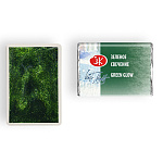 Акварель " Белые ночи " кювета 2,5мл зеленое свечение