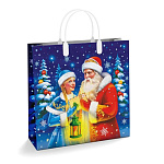 Пакет Новогодний ПЭ " Интерпак " с пластиковой ручкой МП, 30*30см 150мкм Заветное желание