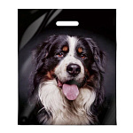 Пакет ПЭ " Интерпак " с вырубной ручкой ПВД, 40*47см 45мкм Барон