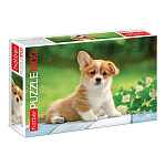 Пазлы " Hatber " 1000эл Premium Щенок 68*48см, картонная упаковка