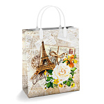 Пакет ПЭ " Интерпак " с пластиковой ручкой МП, 23*27см 150мкм Шанталь