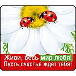 Магнит виниловый " Хорошо " 918 Живи, весь мир любя! Без отделки, 60х70мм