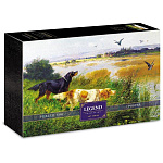 Пазлы " Hatber " 500элементов Premium Два спаниеля 33*48см, постер, подарочная картонная упаковка