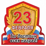 Магнит виниловый " Хорошо " 612 23 Февраля- Ты достоин всех наград, 72*76мм, без отделки