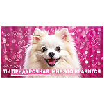 Конверт для денег " Открытая планета " 410 Юмор- Ты придурочная, мне это нравиться, Собачка, 168*84мм, глянцевый ВД-лак, текст
