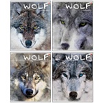 Тетрадь А5 48л " Альт " Загадочные волки, клетка, блок- офсет 60г/м2, на скобе, обложка- мелованный картон, серебряная фольга, гибридный УФ-лак, скругленные углы