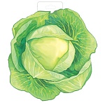 Плакат " Империя поздравлений " 930 А4 Капуста