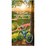 Конверт для денег " Праздник " 410 Мужской- С Днём рождения! Энергии и адреналина, Велосипед, природа, 84*168мм, глянцевый УФ-лак, текст