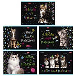 Альбом А4 32л " Hatber " Мурчат коты (ассорти), на скобе, обложка- мелованный картон, блок- офсет 100г/м2, 1 дизайн в спайке, 5 дизайнов в коробке