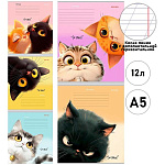Тетрадь А5 12л косая линия с дополнительной горизонтальной " Проф-Пресс " Кошачьи мордочки- 4, офсет, на скобе, обложка - мелованная бумага, 5 дизайнов в спайке