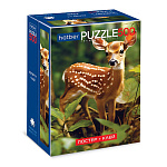 Пазлы " Hatber " 500эл Premium Комбо-набор Олененок Бэмби 33*48см, в наборе: постер, клей 85г, шпатель, картонная упаковка