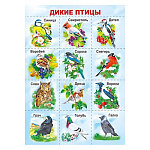 Плакат " Мир поздравлений " 409 А4 Птицы, мелованный картон 190г/м2, без отделки