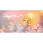 Конверт для денег " Миленд " Dream Cards Soft Touch Поздравляю! Нежная бабочка, 164*85мм