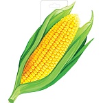 Плакат " Империя поздравлений " 930 А4 Кукуруза