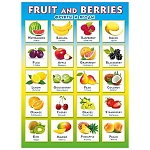 Плакат " Мир поздравлений " 941 А2 Fruit and Berries. Фрукты и ягоды