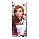 Закладка магнитная " Империя поздравлений " 525 Холодное сердце, 56*177мм