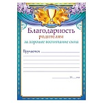 Благодарность родителям за хорошее воспитание сына А5 065 " Открытая планета " без отделки, название