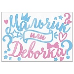 Наклейка на коробку-сюрприз " Браво " 42*30см Мальчик или Девочка