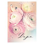 Бирка для букетов и подарков " Праздник " 060 Дарю! Розовые пионы, 77*54мм, без отделки