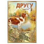 Открытка " Праздник " 475 Другу. Пес, 126*182мм, фольга золотая, текст