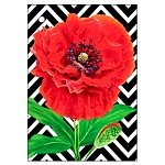 Открытка " Праздник " 060 Без названия- Красный мак, 53*77мм, без отделки
