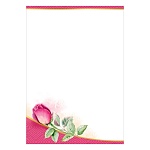 Грамота без надписи А4 406 " Праздник " Цветок, мелованная бумага 150г/м2, без отделки