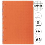 Тетрадь с пластиковой обложкой спираль А4 80л клетка " Hatber " Line Neon Оранжевая, офсет, перфорация, 215*295мм