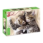 Пазлы " Hatber " 160элементов ECO Мяу-Котики 33*22см, картонная упаковка